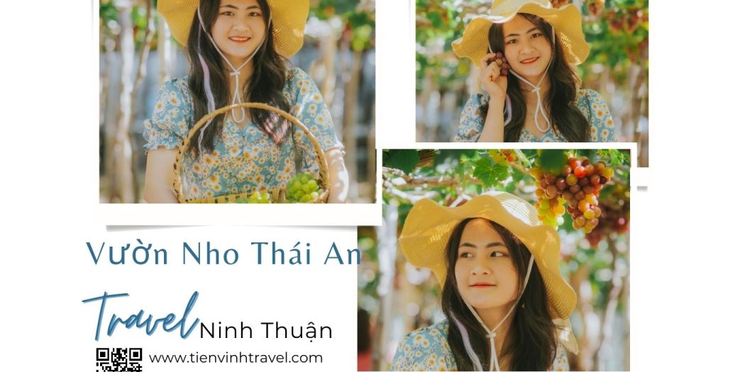 Vườn Nho Thái An