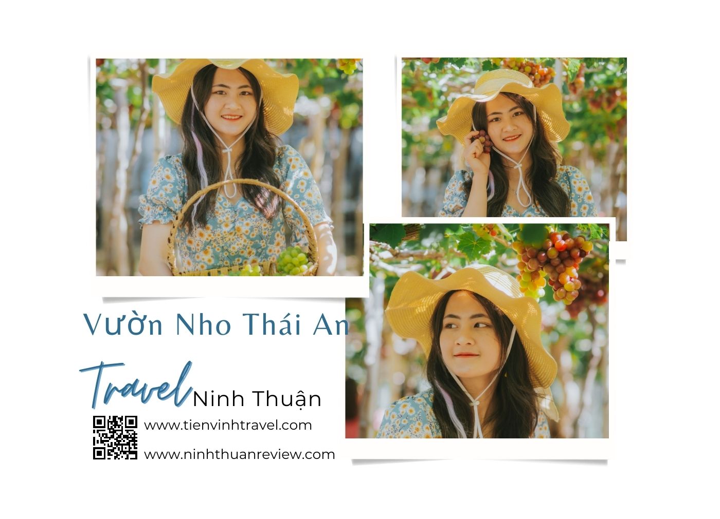 Vườn Nho Thái An