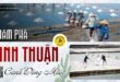 Cánh đồng muối Ninh Thuận