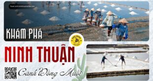 Cánh đồng muối Ninh Thuận