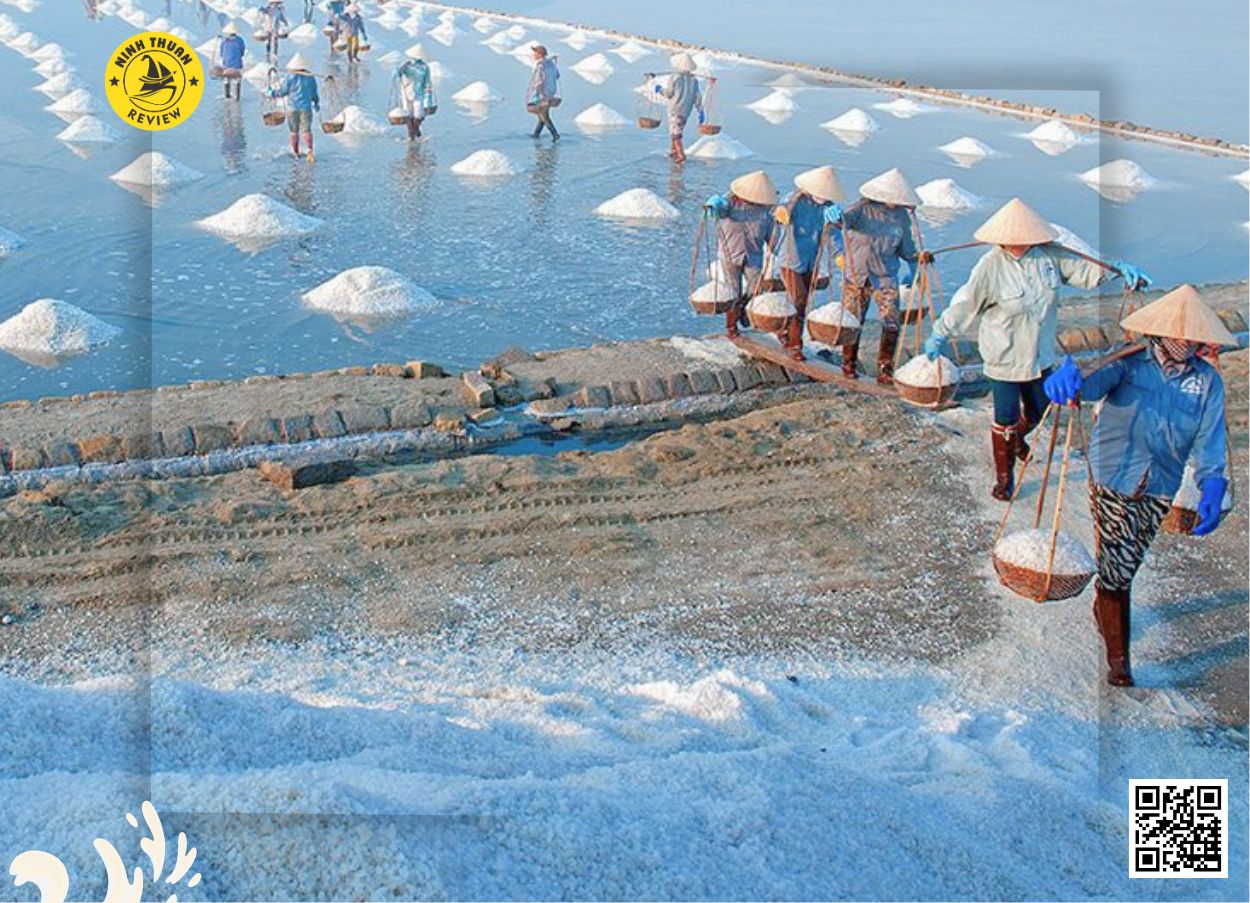 Cánh đồng muối Ninh Thuận - Cà Ná