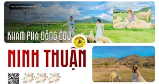 Đồng Cừu Ninh Thuận