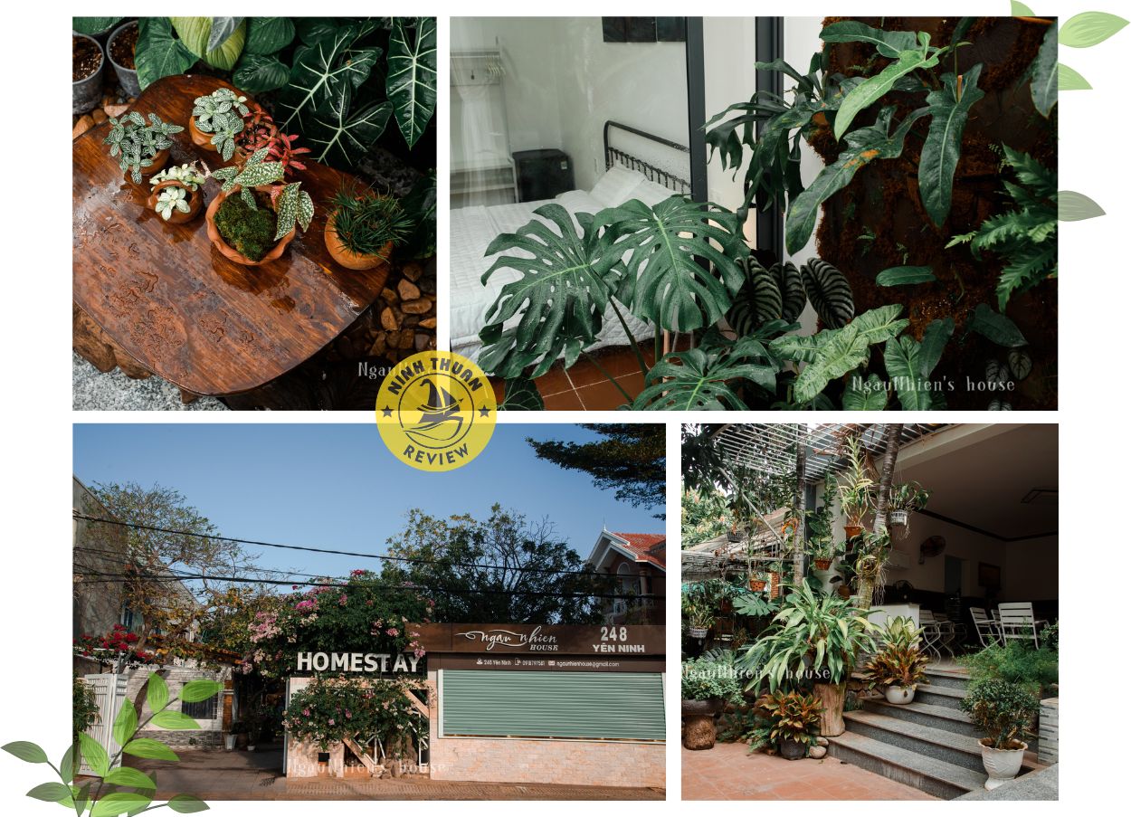 Ngẫu Nhiên Homestay Phan Rang